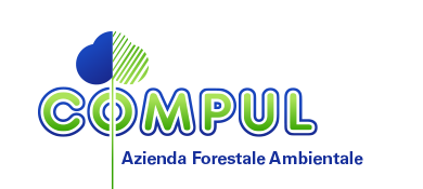 Logo Compul